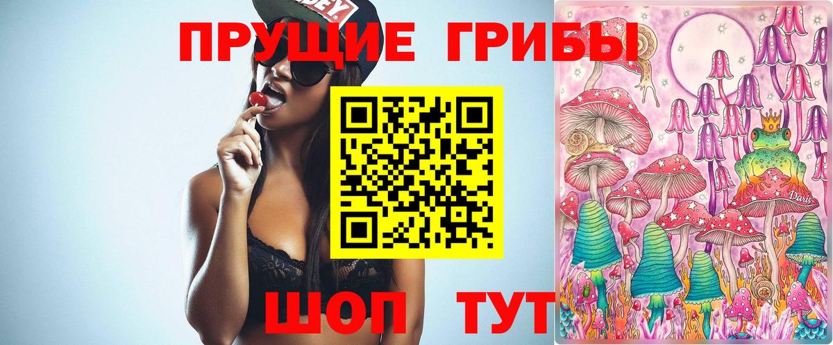 Галлюциногенные грибы прущие грибы  Вход с VPN  Кувандык  Псилоцибиновые грибы Psilocybine cubensis 